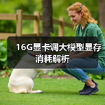 16G显卡调大模型显存消耗解析(图4) 16G显卡调大模型显存消耗解析(图4)