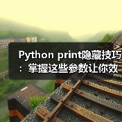 Python print隐藏技巧:掌握这些参数让你效率翻倍!(图4) Python print隐藏技巧:掌握这些参数让你效率翻倍!(图4)
